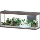Splendid Ultra 300 Wildeiche Dunkel Aquarium - 1 Set