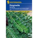 Kiepenkerl Pimpinelle - 1 Pkg