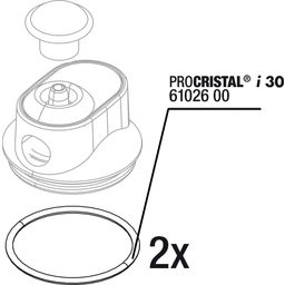 JBL ProCristal i30 O-Ring - 1 Stk