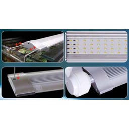 JBL LED SOLAR NATUR - 22 Watt - 438mm