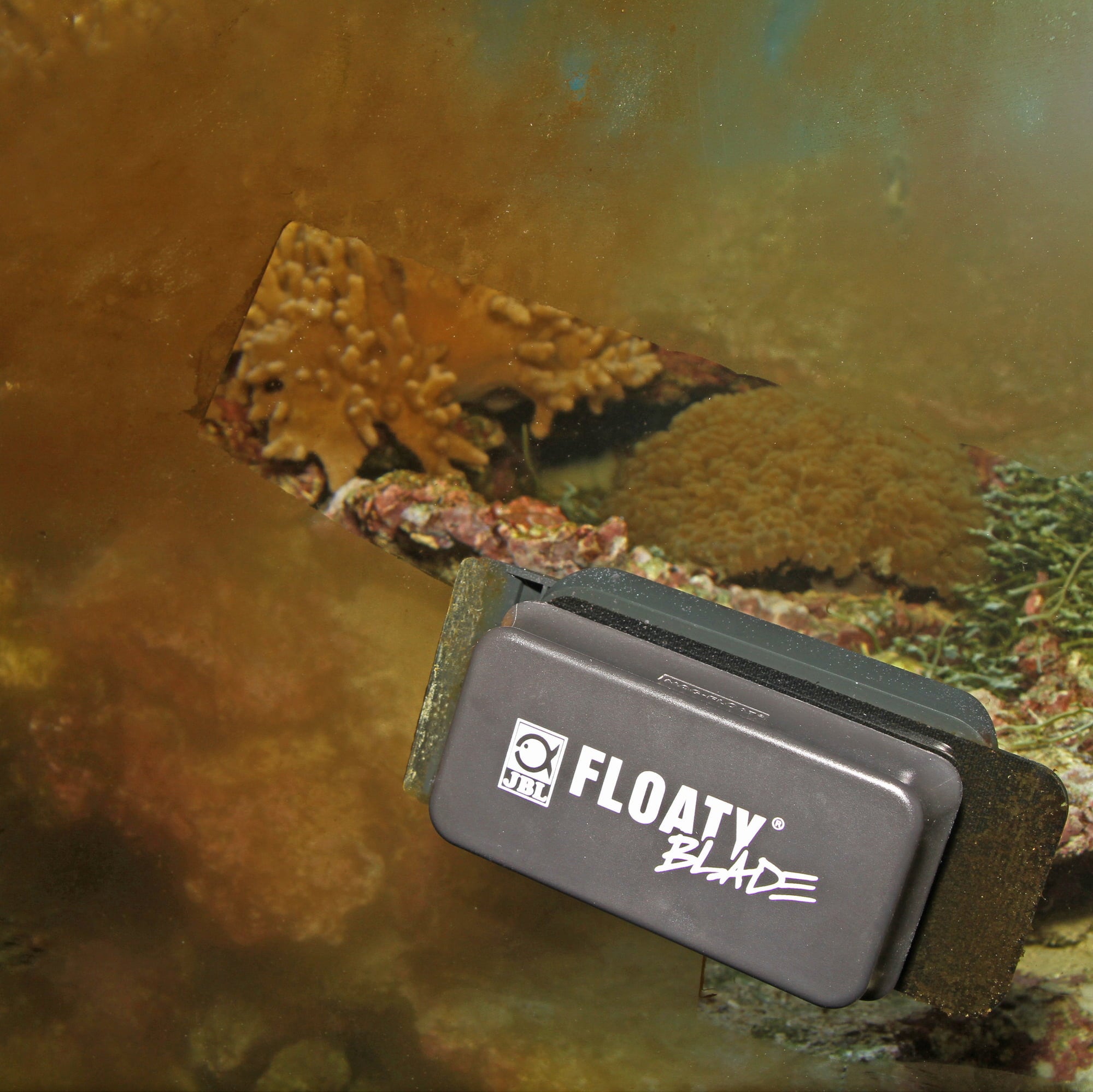 JBL Floaty Blade
