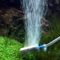 JBL ProSilent Aeras Marin - S