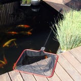 JBL Teichkescher grob