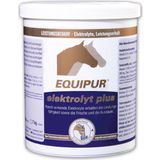 Equipur elektrolyt plus