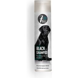 7Pets Black Shampoo für Hunde