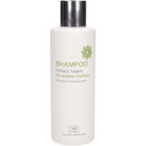 Classic Ayurveda Shampoo Amla & Neem