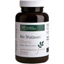Classic Ayurveda Shatavari Churna Bio - 100 g