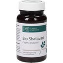 Classic Ayurveda Shatavari Tabletten Bio - 150 Tabletten