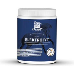 DERBY Elektrolyt - 1 kg