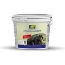 Nature's Best Leinsamen Goldgelb - 1,30 kg