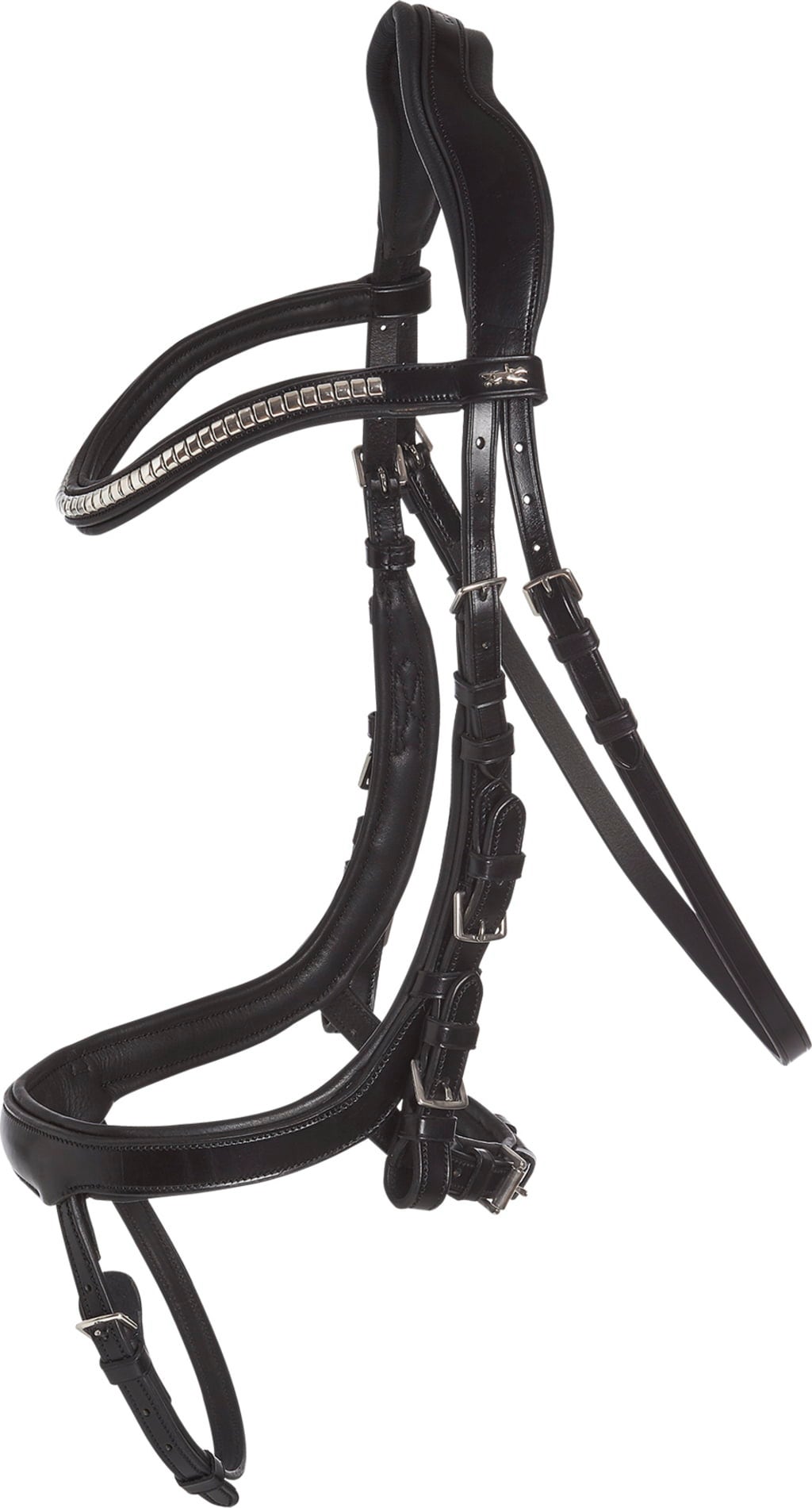 Trense Anatomic Line 