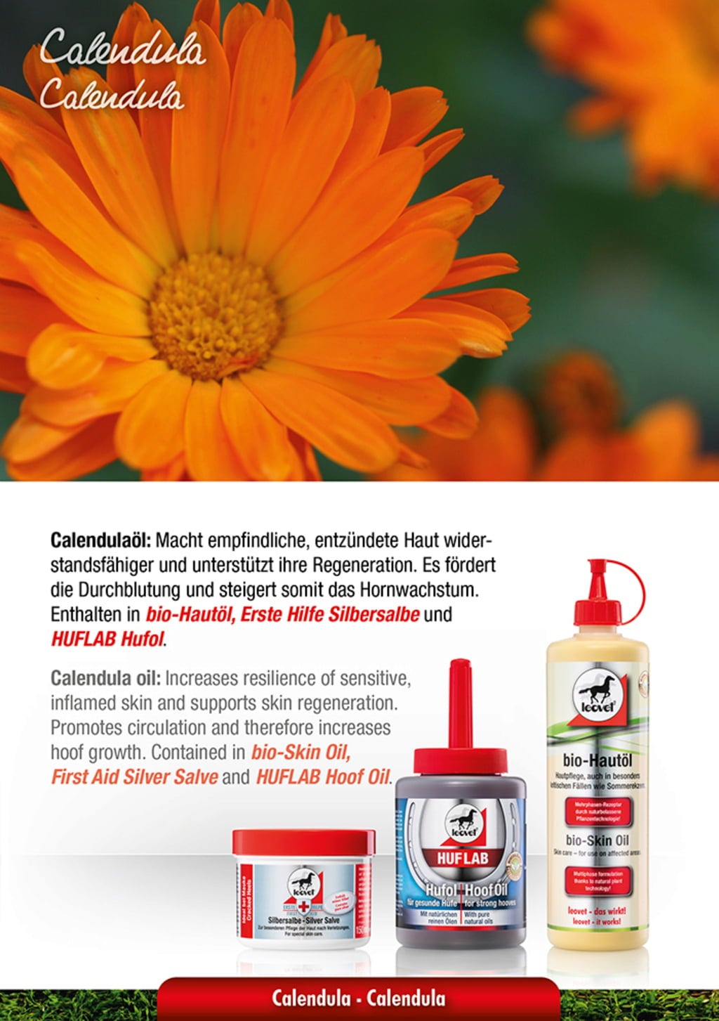 leovet bio-Hautöl