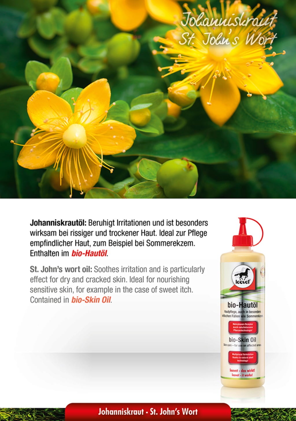 leovet bio-Hautöl
