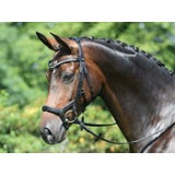 BUSSE Trense "MODENA"