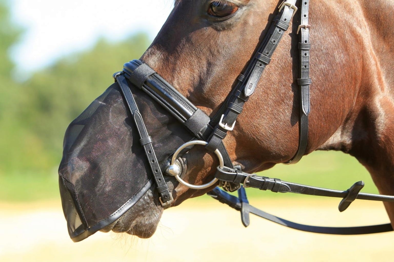 BUSSE Nüsternschutz FLY PROTECTOR