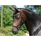 BUSSE Trense MODENA schwarz/weiß
