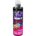 Microbe-Lift Coralline - 473ml