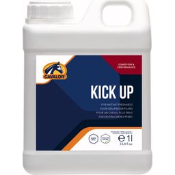 Kick Up - 1 l