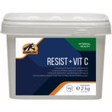 Resist