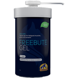 FreeBute  Gel - 2 l - mit Pumpe