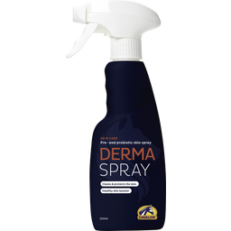 Derma Spray - 250 ml