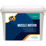 Muscle Motion