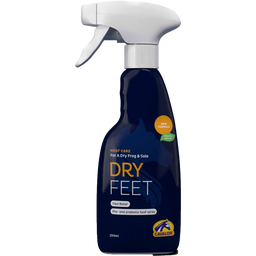 Dry Feet natural - 250 ml
