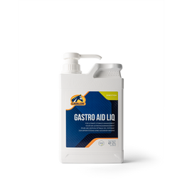 Gastro AID Liquid - 2 l