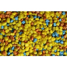olibetta Gravel Spongebob 2-3mm