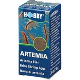 Hobby Artemia Eier
