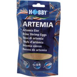 Hobby Artemia Eier - 150 ml