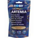 Hobby Artemia Eier - 150 ml