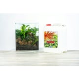 Aqua Rebell Makro Basic Phosphat