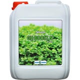 Aqua Rebell Advanced GH Boost N