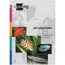Animalbook All Labyrinths - 1 Stk