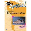 Animalbook Loricariidae 