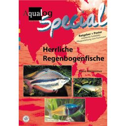 Animalbook Herrliche Regenbogenfische im Aquarium - 1 Stk