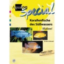 Korallenfische des Süßwassers 