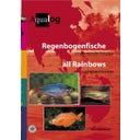 Regenbogenfische und verwandte Familien / All Rainbows - 1 Stk