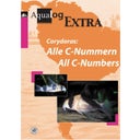 Corydoras: Alle C-Nummern / all C-Numbers - 1 Stk