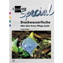 Animalbook Brackwasserfische - 1 Stk