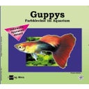 Animalbook Guppys, Farbkleckse im Aquarium - 1 Stk