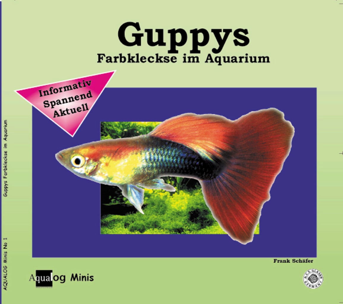 Animalbook Guppys, Farbkleckse im Aquarium - 1 Stk
