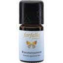 farfalla Karottensamen bio Wildsammlung - 5 ml