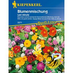 Kiepenkerl Blumenmischung 