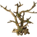 Europet Bonsai ohne Blätter - hellbraun