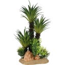 Europet Palmen - L