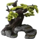 Europet Bonsai - groß