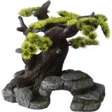 Europet Bonsai