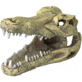 Europet Krokodil Kopf